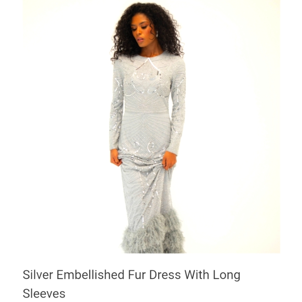 Silver embroidered feathered dress